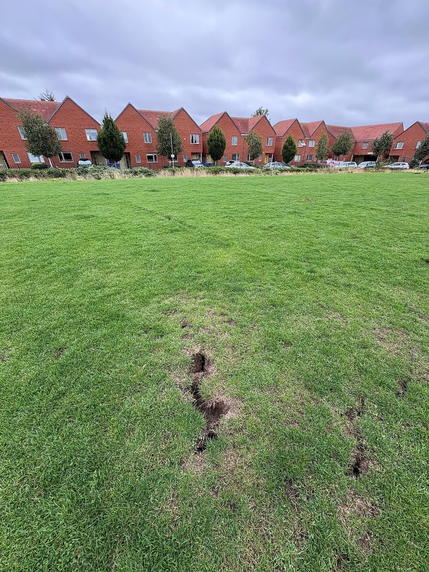 A small hole in the lawn marked for filling