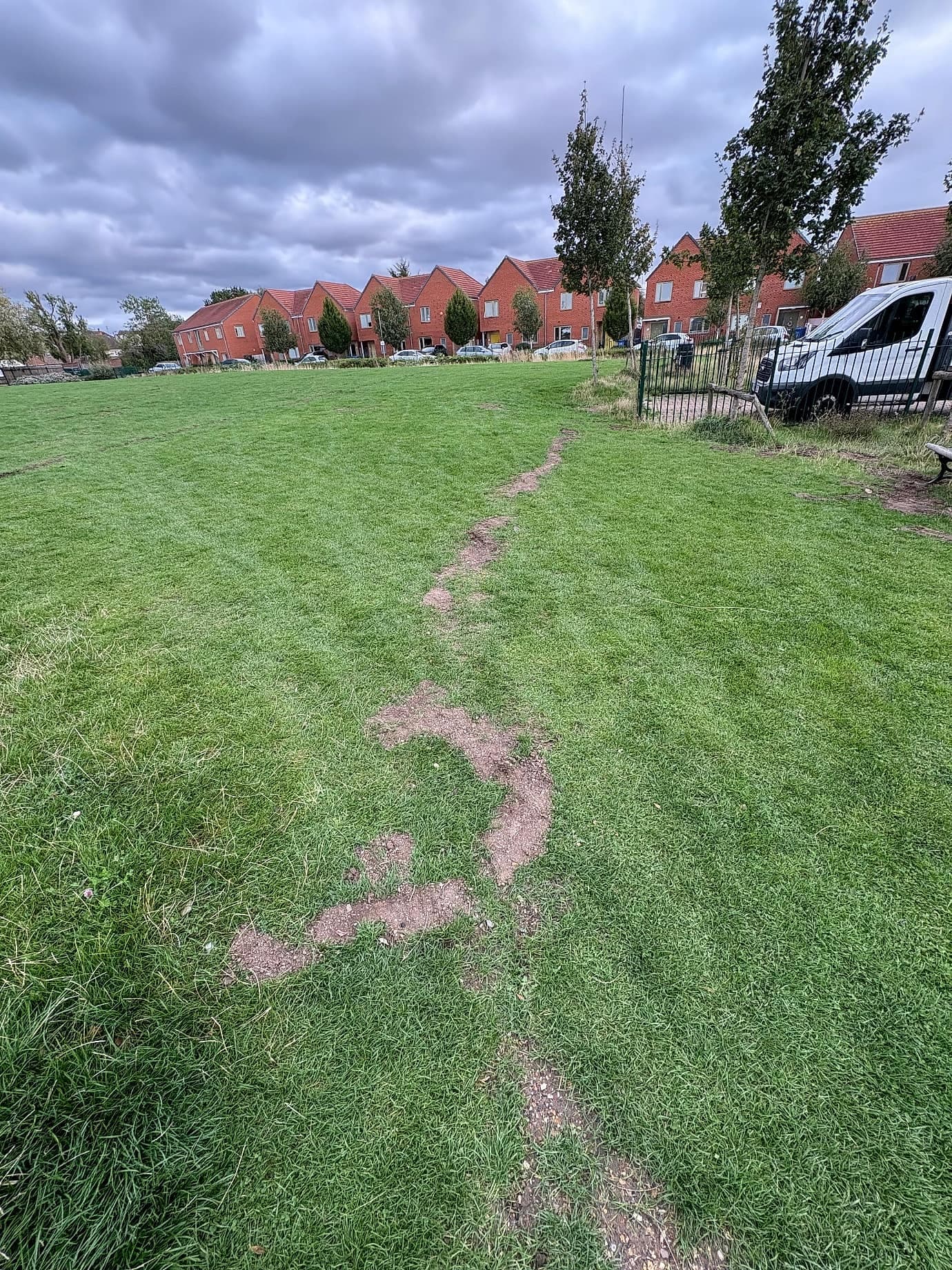 Holes in the grass waiting to be filled