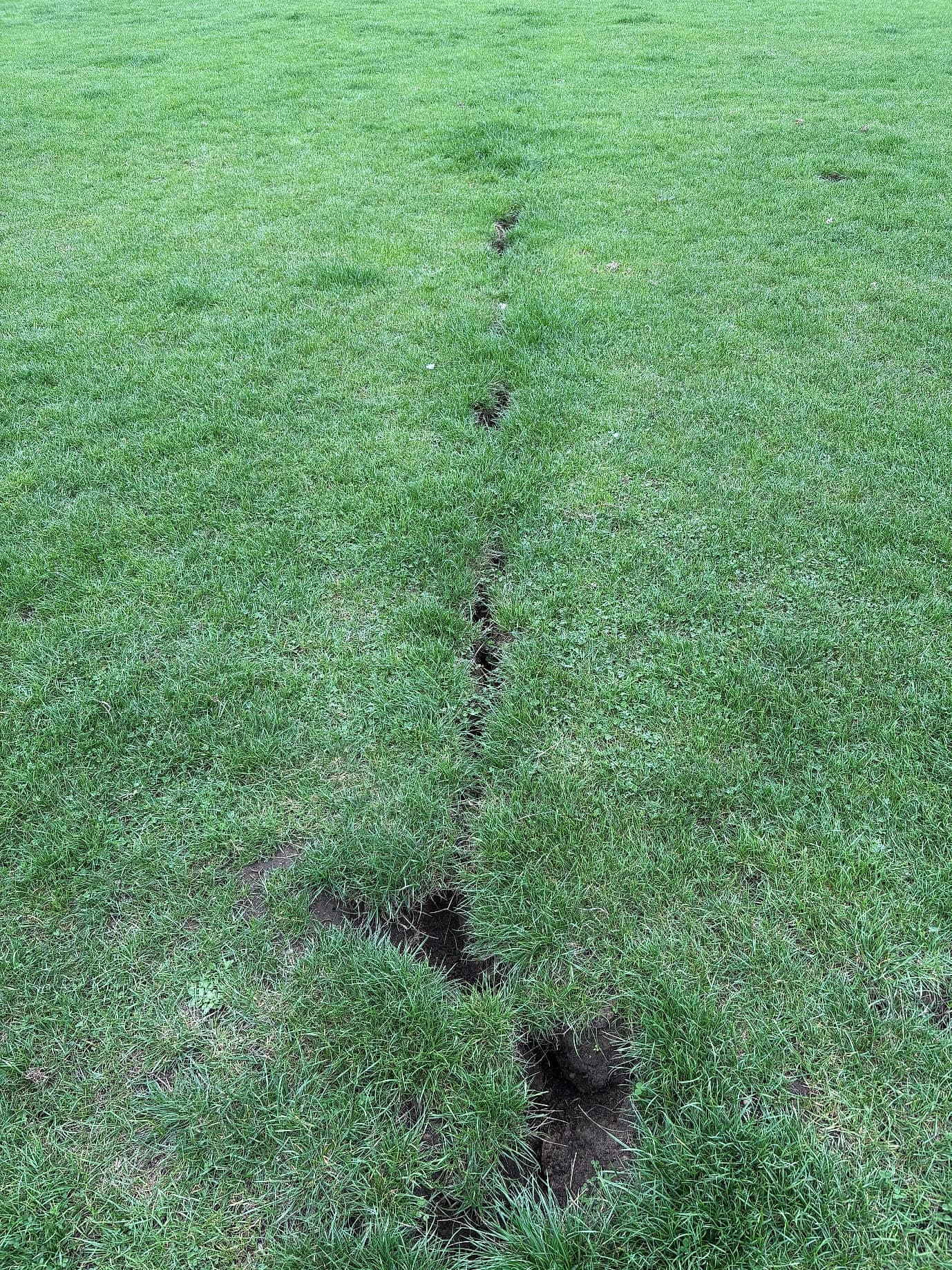 A line of holes across the grass on the green